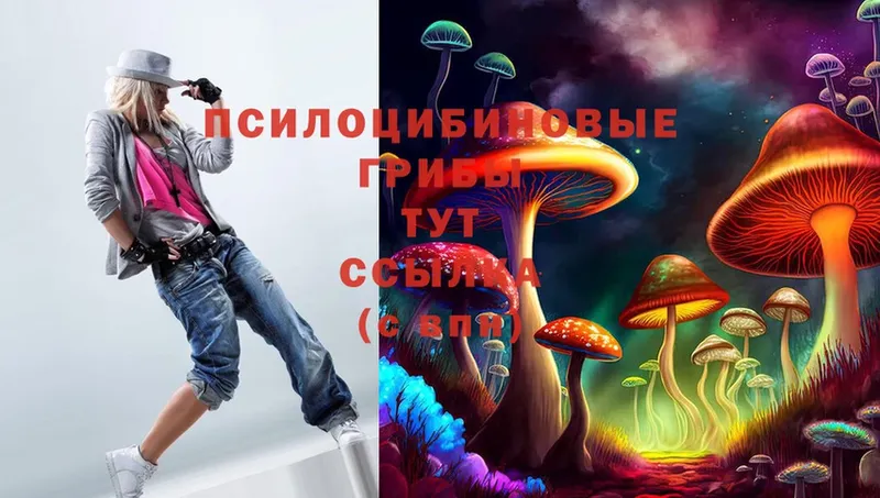 Псилоцибиновые грибы Magic Shrooms  Железногорск 